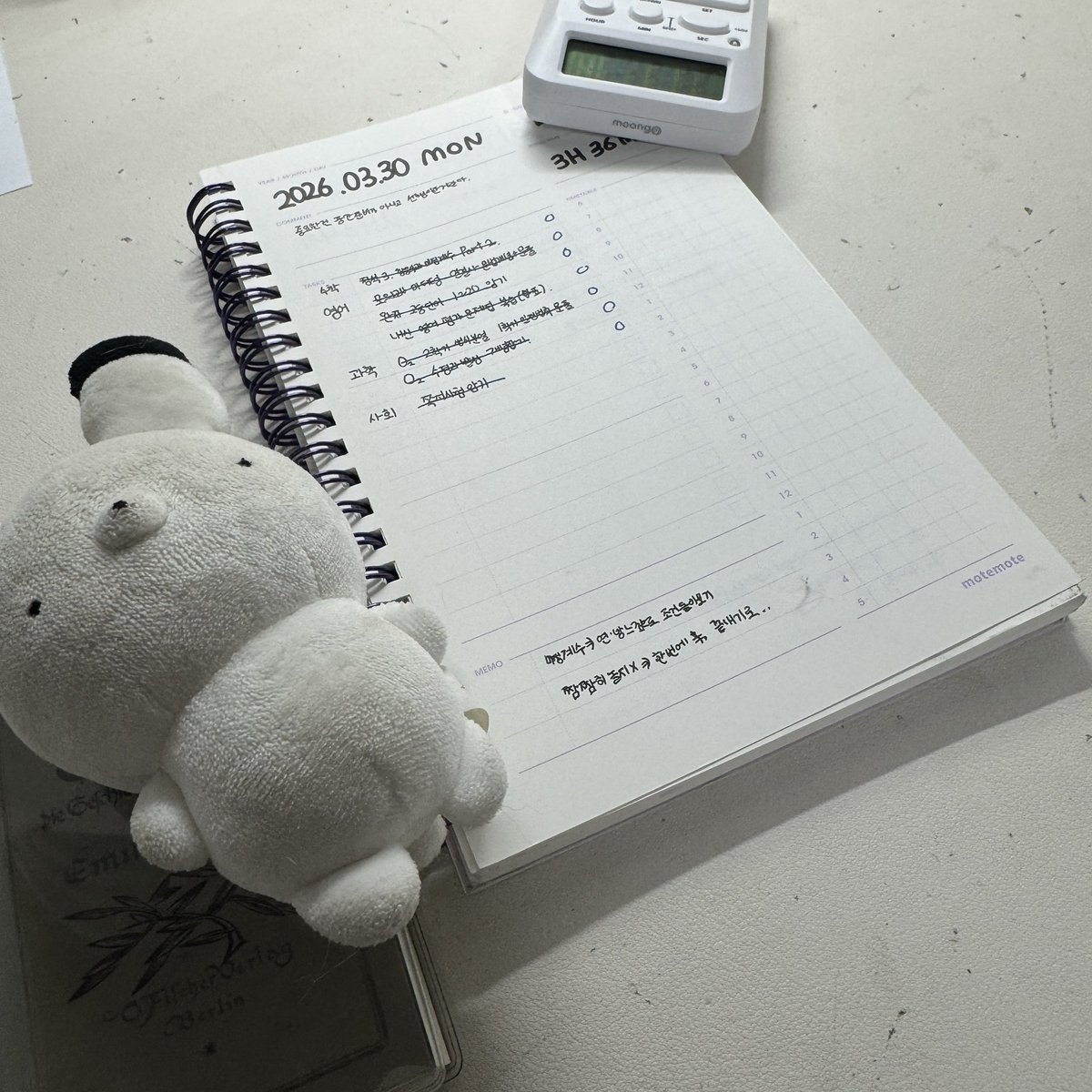 루꼴라 tweet media