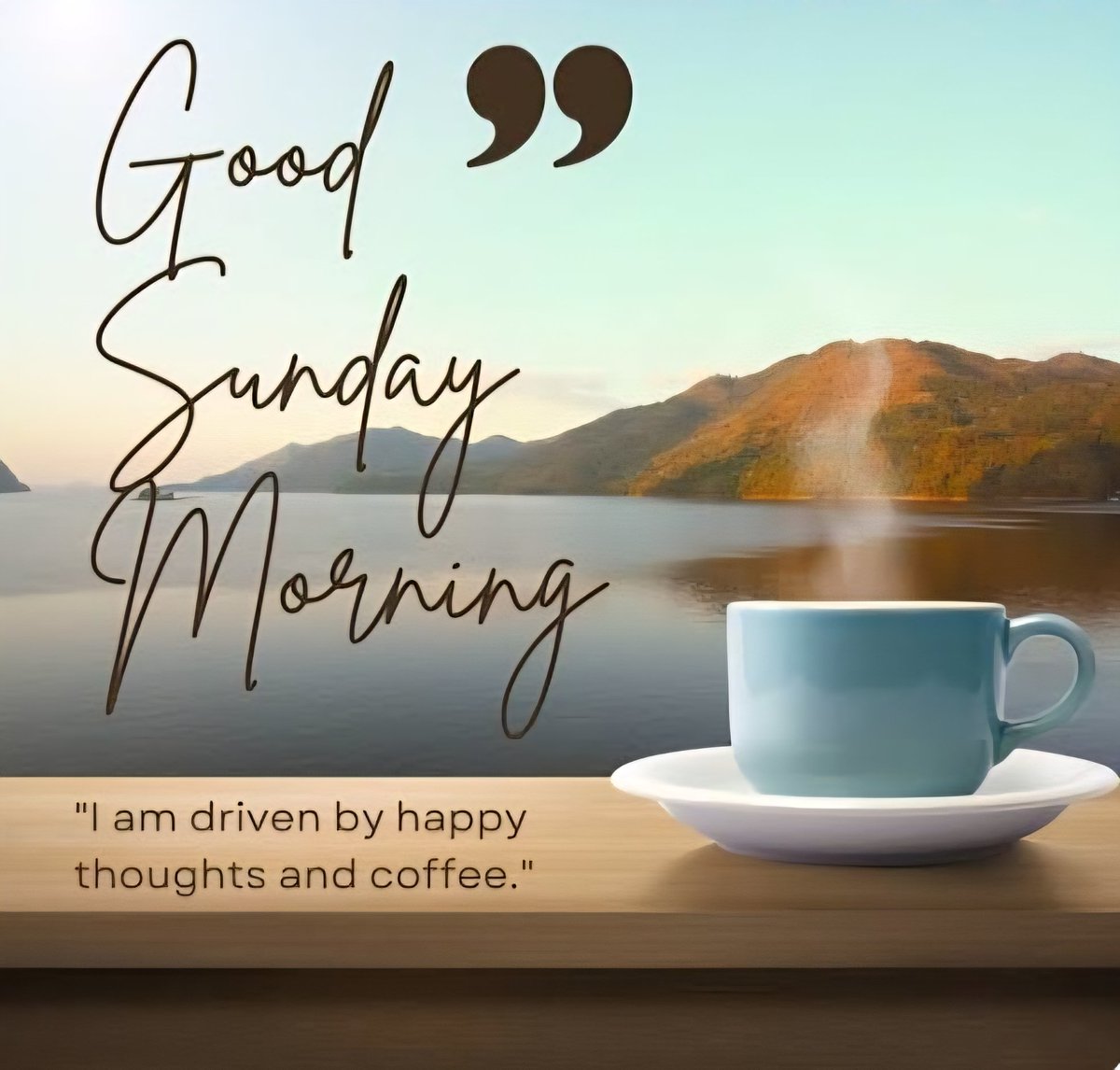 Deb365🇺🇲 tweet media