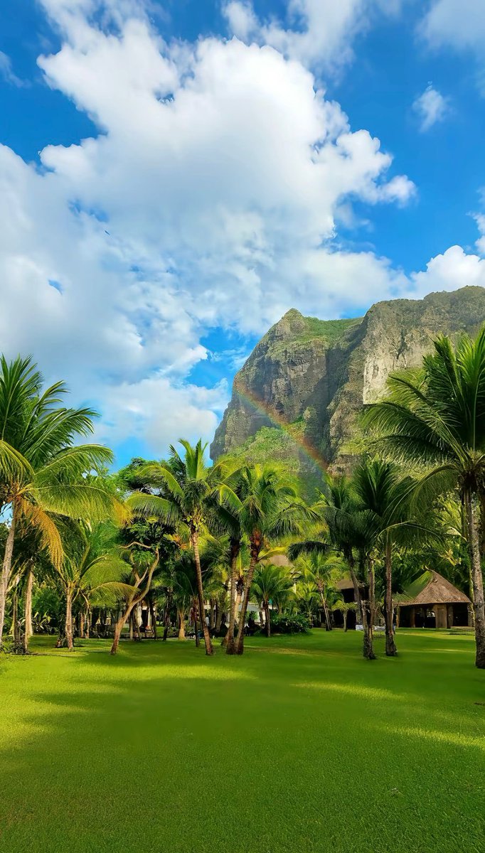 جزر حول العالم tweet media