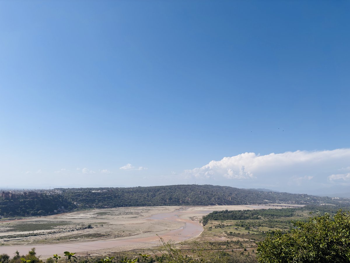 शोक्का। tweet media