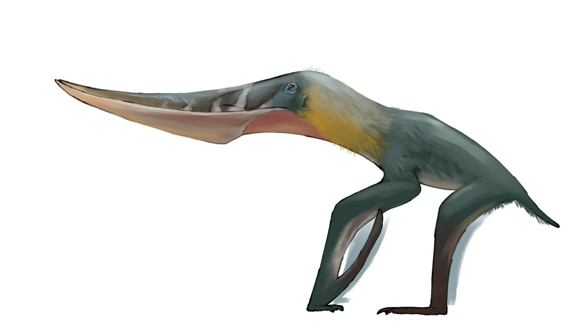 🦖SALMON🇻🇳 tweet media