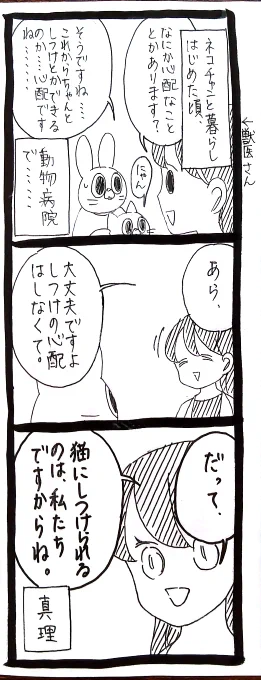 しつけ 