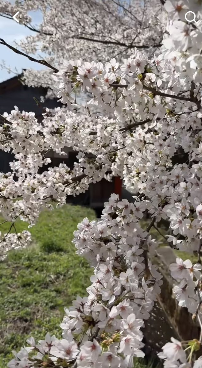 さんぺい tweet media