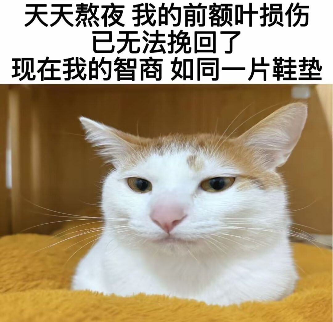恋 tweet media