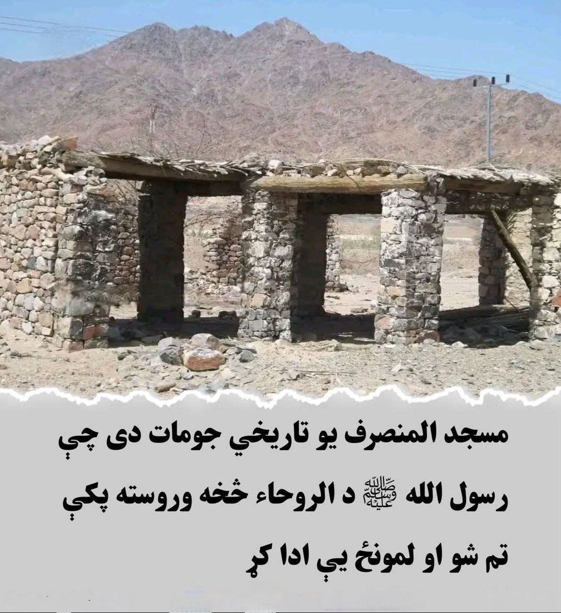 🦋مينه له هيواد سره tweet media