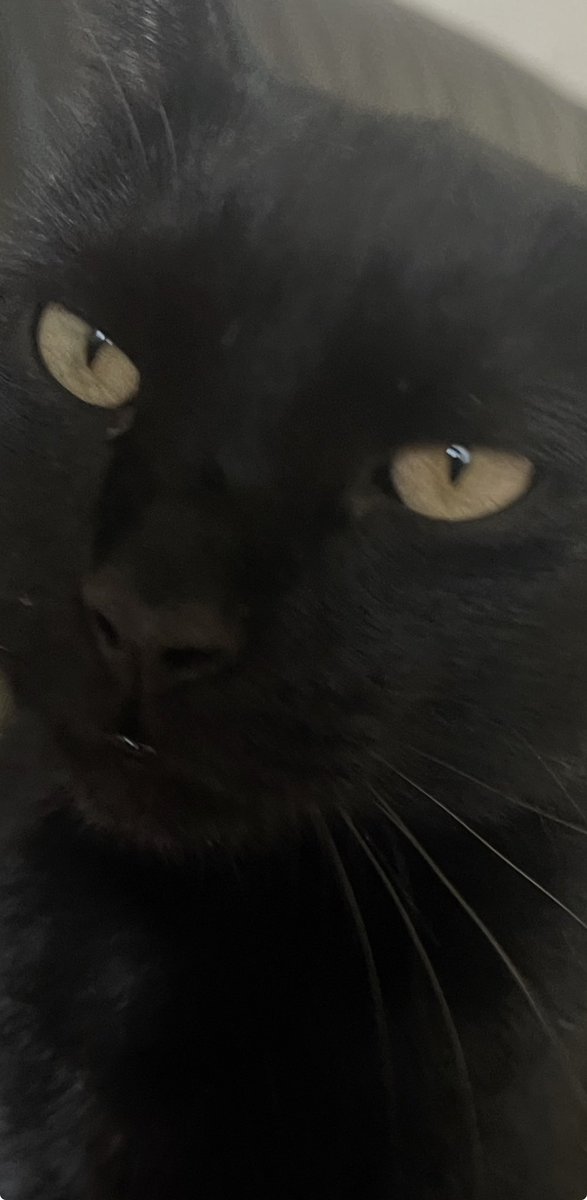 POWERofLOVE67💛✨💫 tweet media