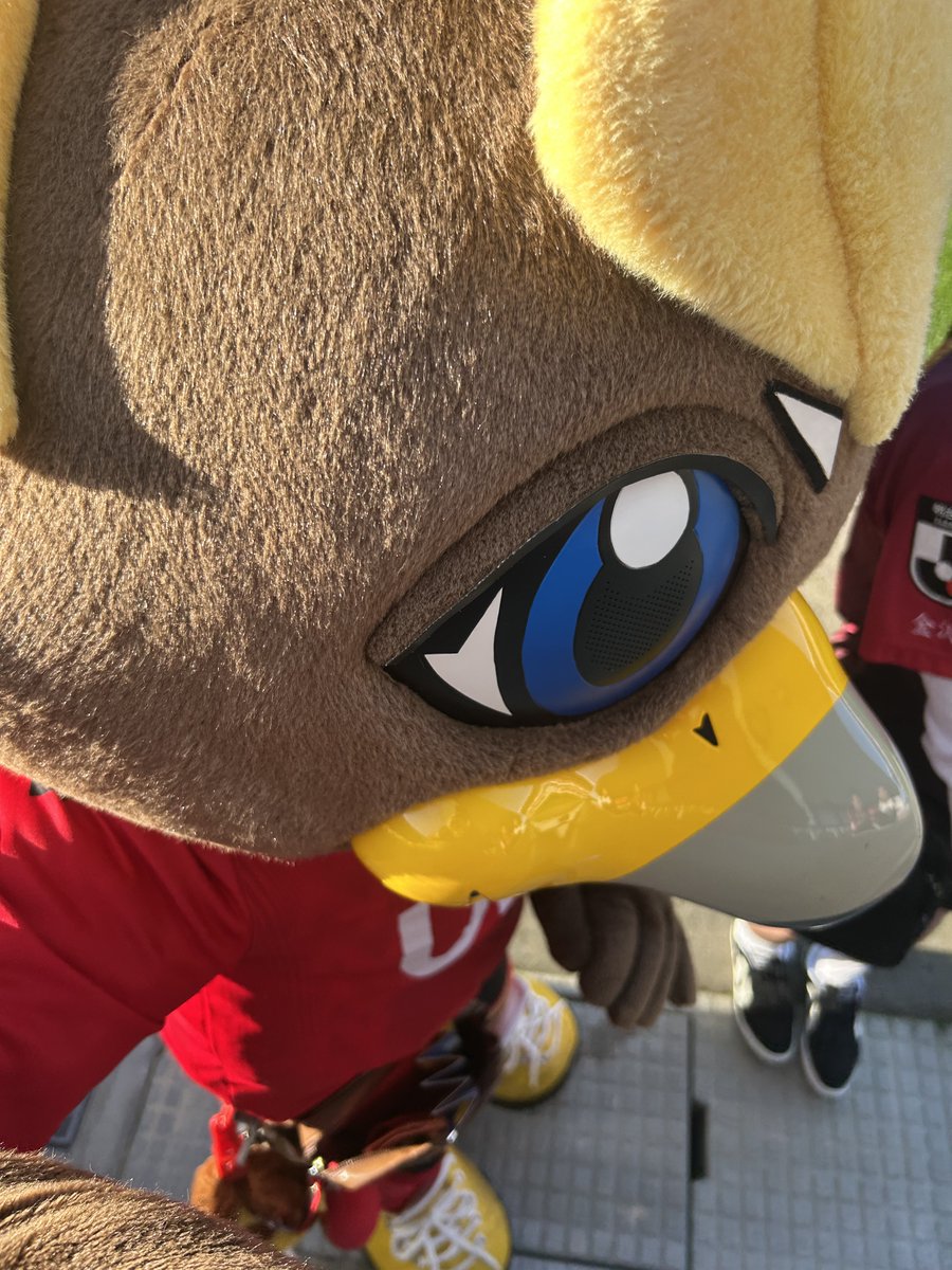 ペンイチロー🐧 tweet media