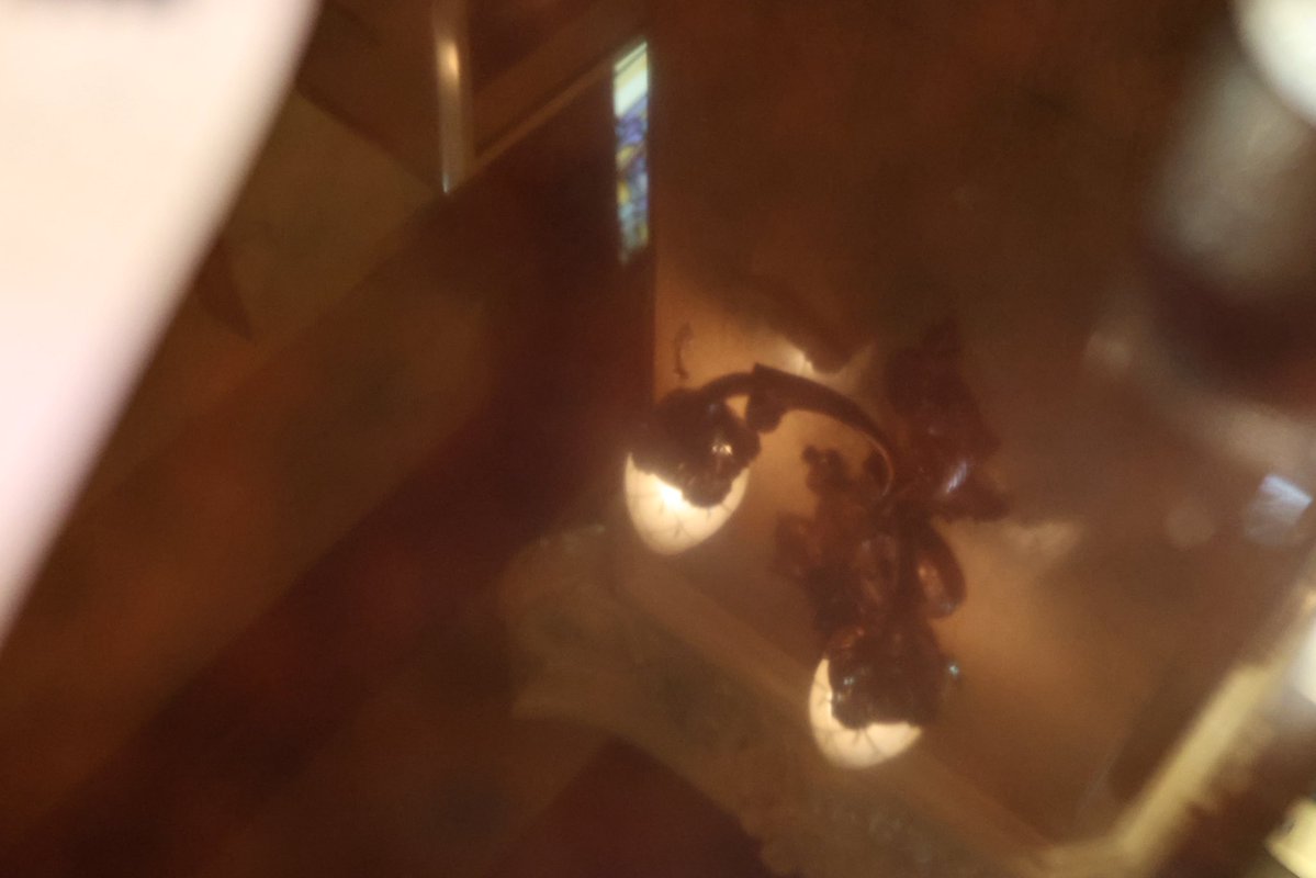 りさ🍋 tweet media