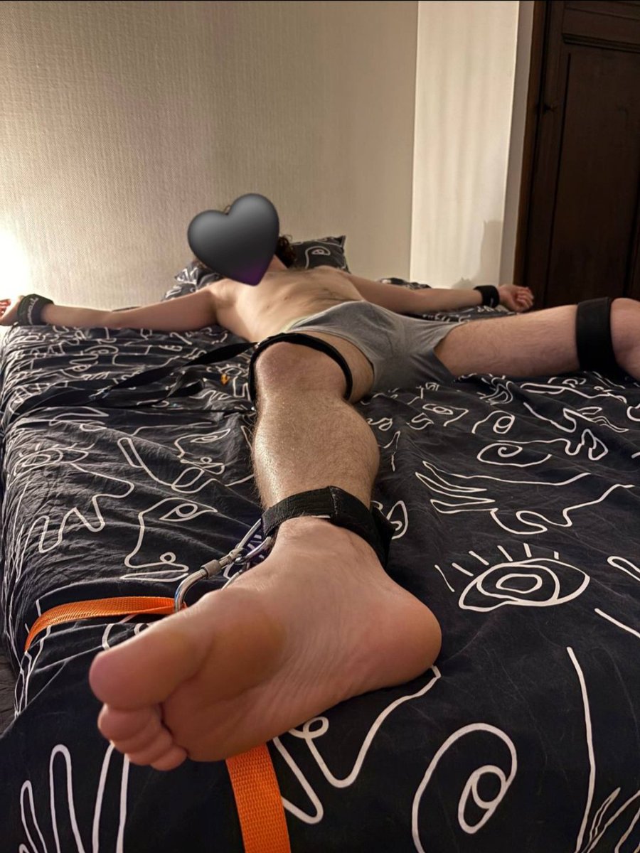 🐺 ~GoldyTK~ 🐺 tweet media