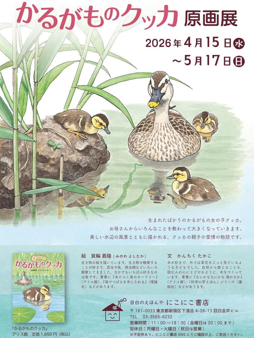 かんちく たかこ tweet media