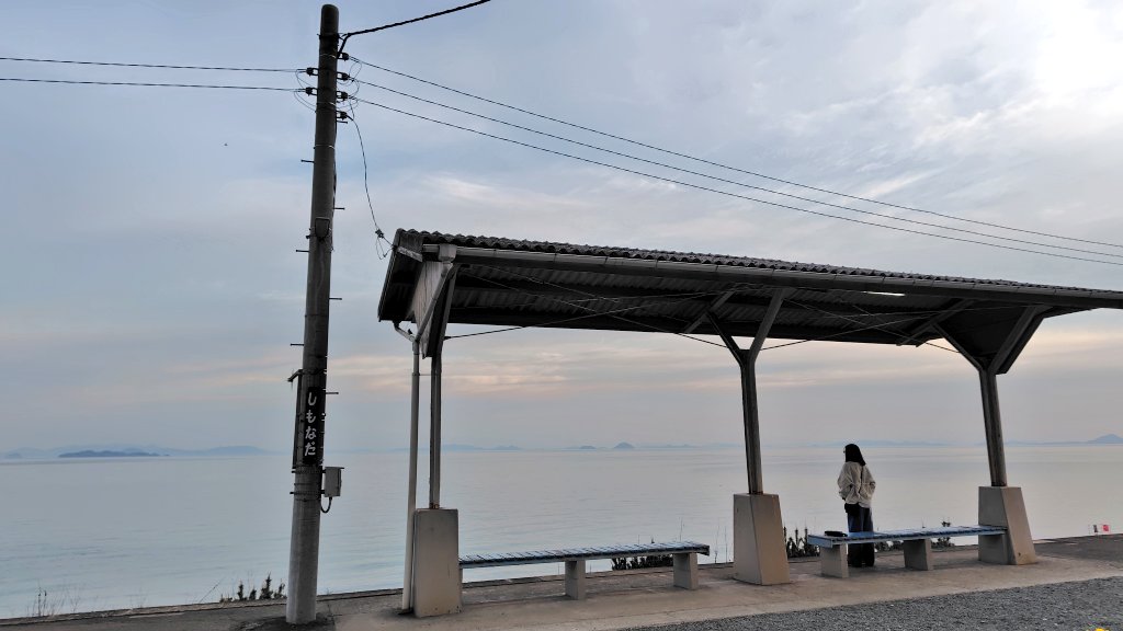 ばんねっこ tweet media