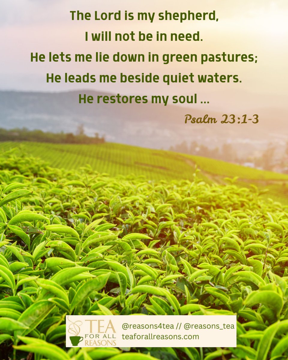 reasons_tea's tweet photo. The Lord is my shepherd,
I will not be in need.
He lets me lie down in green pastures;
He leads me beside quiet waters.
He restores my soul ... Psalm 23:1-3 https://t.co/74jm5Smrs1