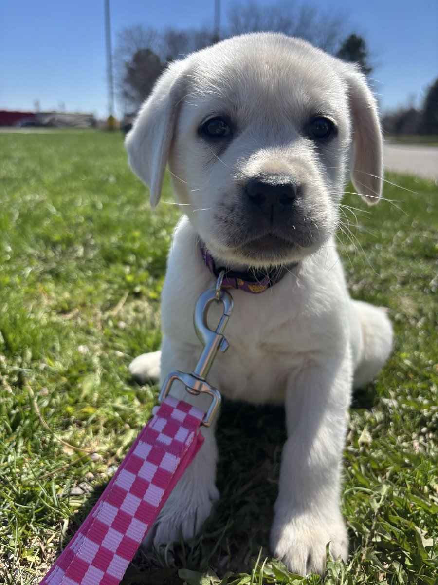 Nikey&Teddy tweet media