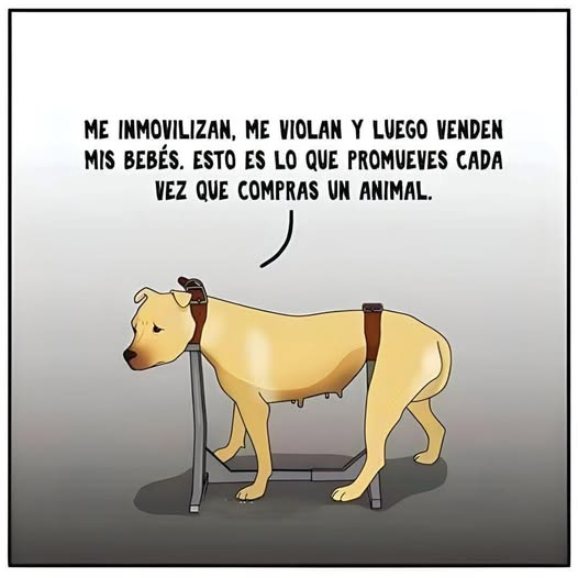 Roma traditoribus non praemiat (@albertr1978) on Twitter photo 