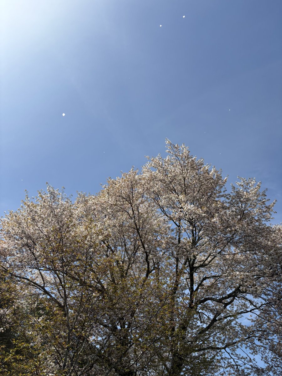 T(N)OMIZO tweet media