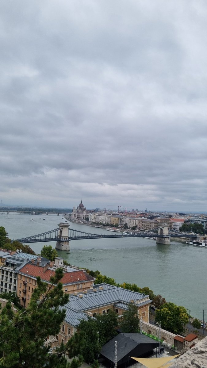 Klar Name🇩🇪 🇭🇺 🇺🇲 🕊️ tweet media