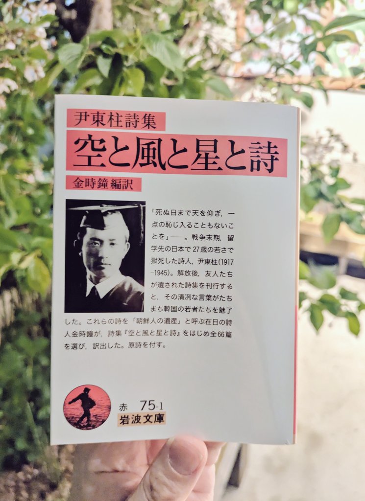 本町文化堂📖(2024/3/16開店) tweet media