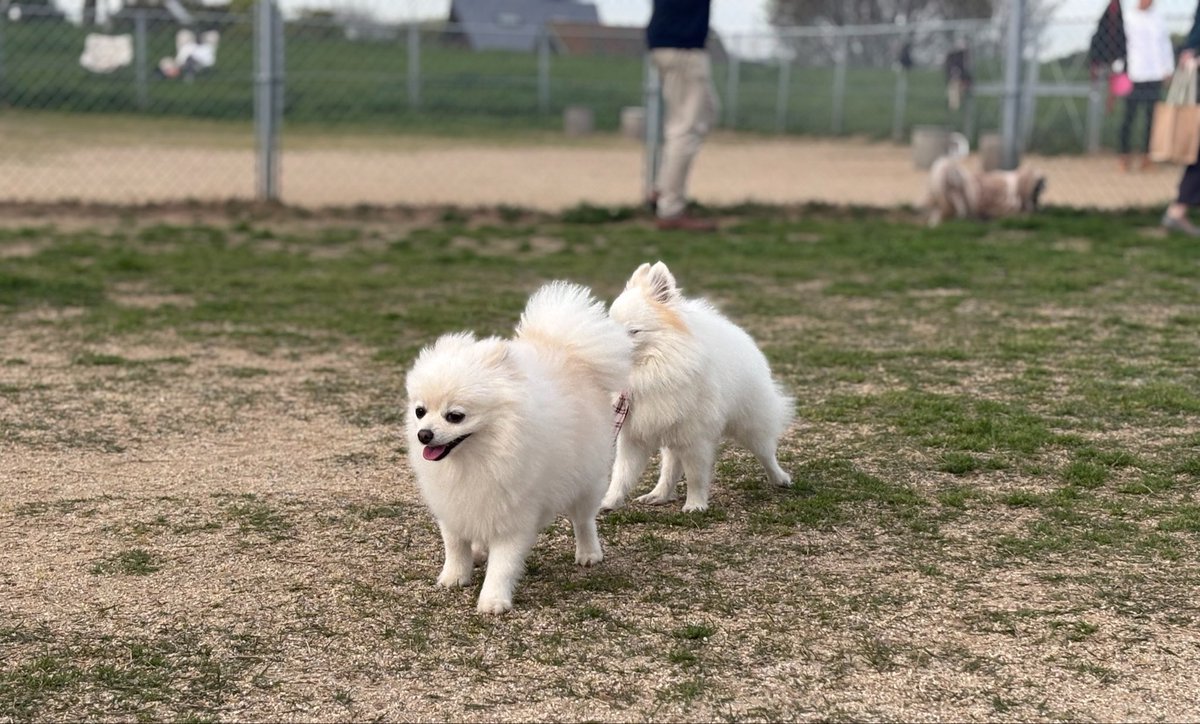 𝘁𝗮𝗯𝗲 tweet media