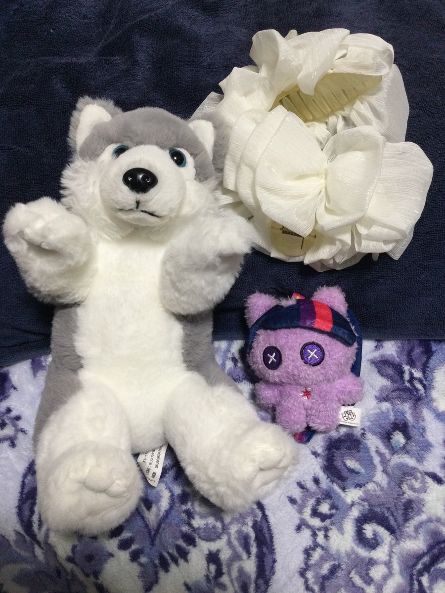 うつのみ～にゃ tweet media