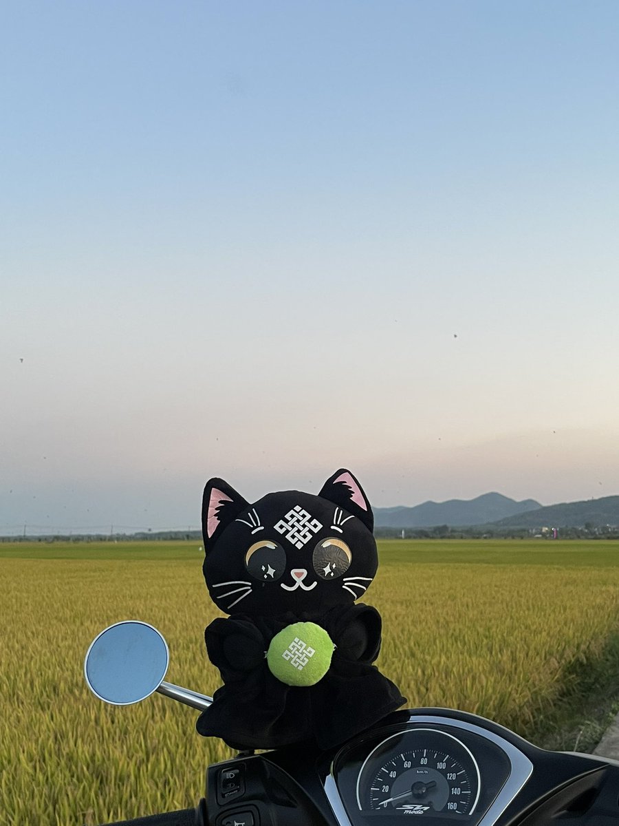 Touch grass mission completed. 
Back to building with the community.

<a href="/ritualnet/">Ritual</a> <a href="/ritualfnd/">Ritual Foundation</a>