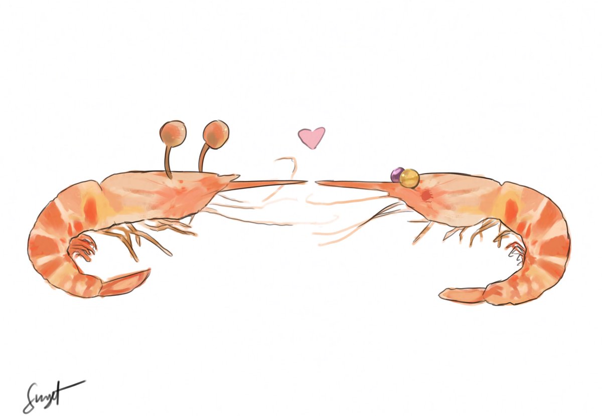 SunsetDumpsterFire 🍉 🇻🇳🇻🇳🇻🇳🇻🇳🇻🇳🇻🇳🇻🇳 tweet media