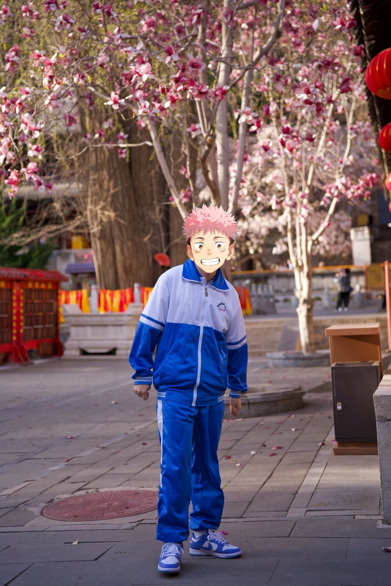 小豪 tweet media