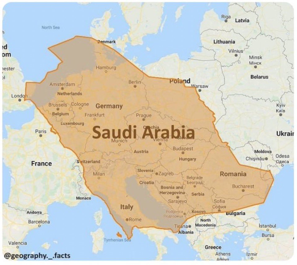 ماجد tweet media