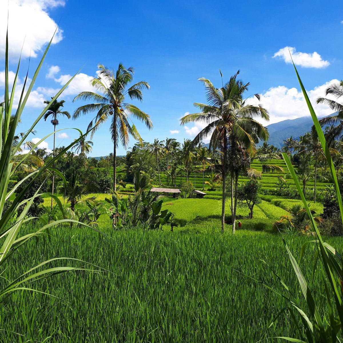 Y ★🧵 tweet media