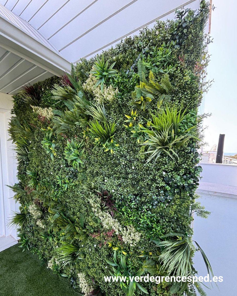 cesped_vgreen's tweet photo. Transforma tus paredes dándole vida con jardines verticales. Perfectos para jardines, terrazas o balcones; ofrecen estética y privacidad sin mantenimiento. ¿Quieres uno en casa? 🌿 Contáctanos y descubre cómo. #JardínVertical #Verdegreen https://t.co/iOlukjVlsv https://t.co/LSgVUlumdj