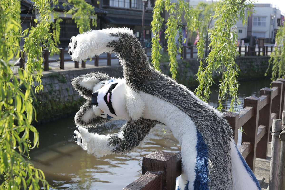 𖦹もるすば𖦹 tweet media