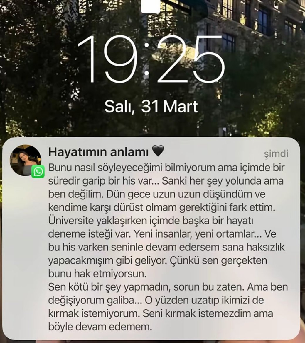 Bee Haber tweet media