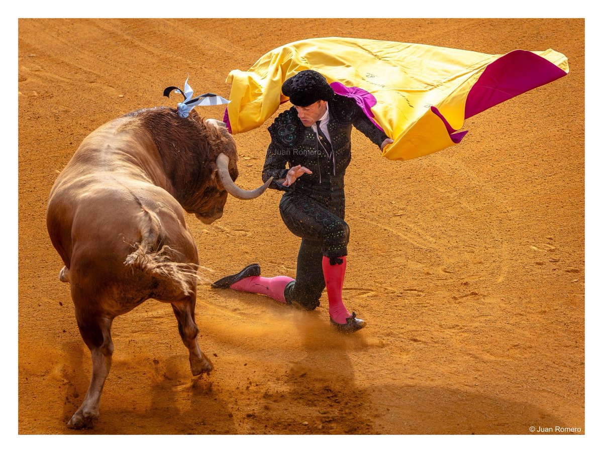 Juan Romero Prieto tweet media