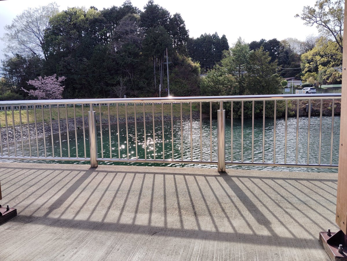 のあん tweet media