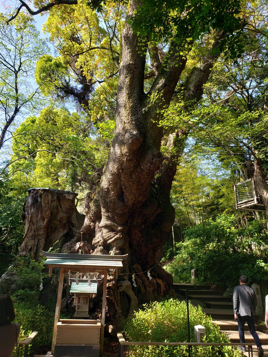 かっち　～北の大地から～ tweet media