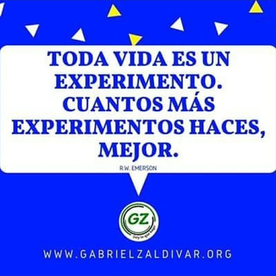 Elsie Zaldívar tweet media