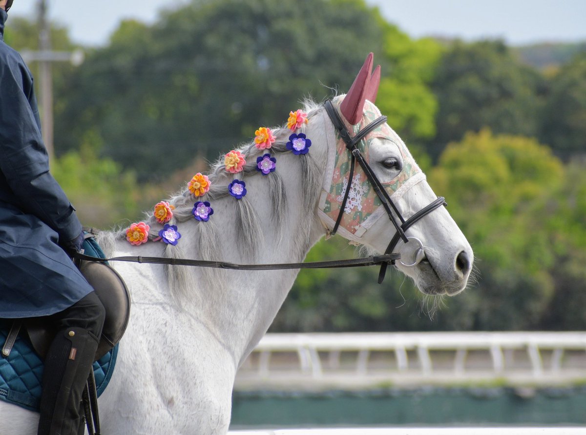 キリン tweet media