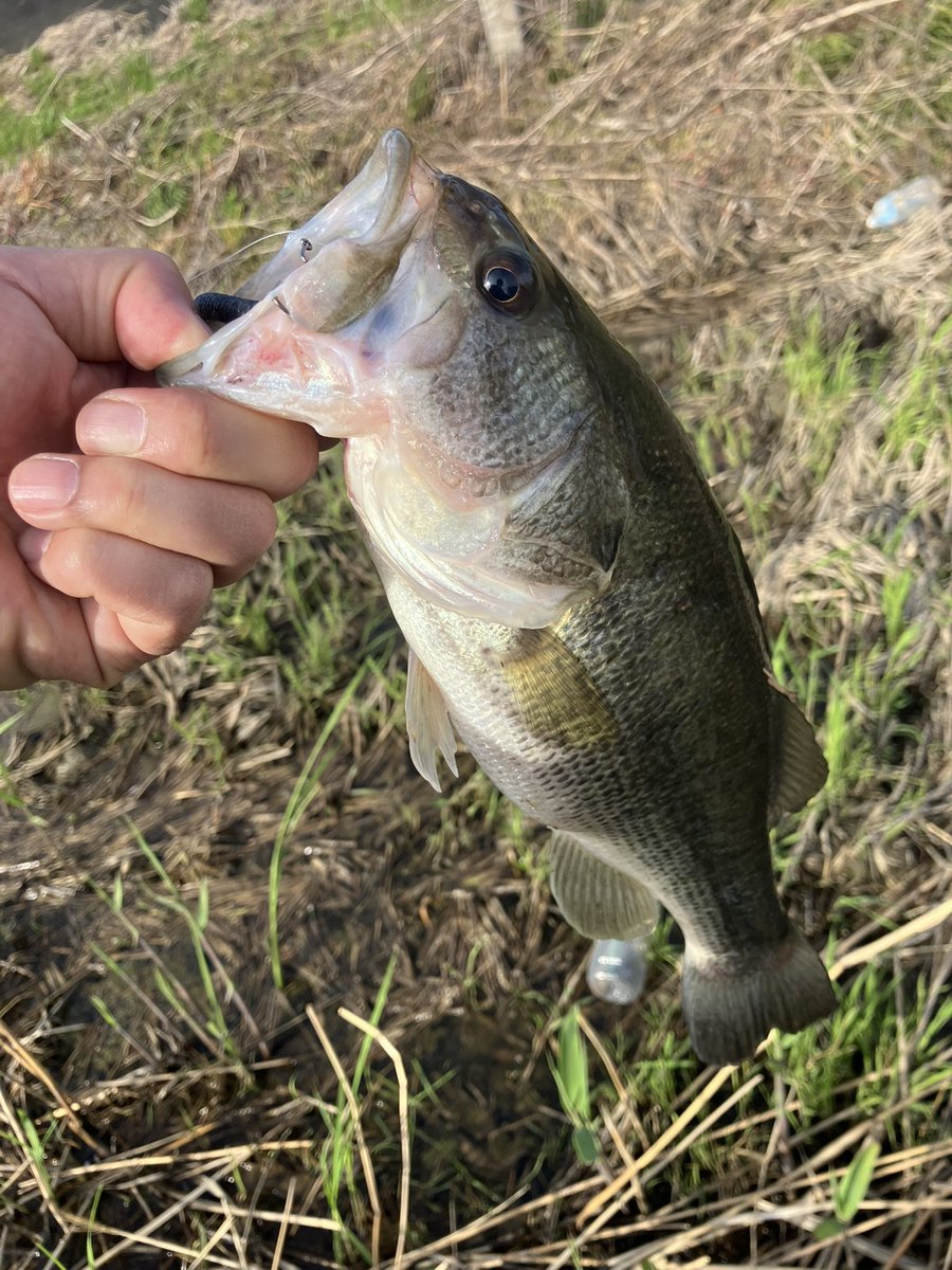 井上充宏 tweet media