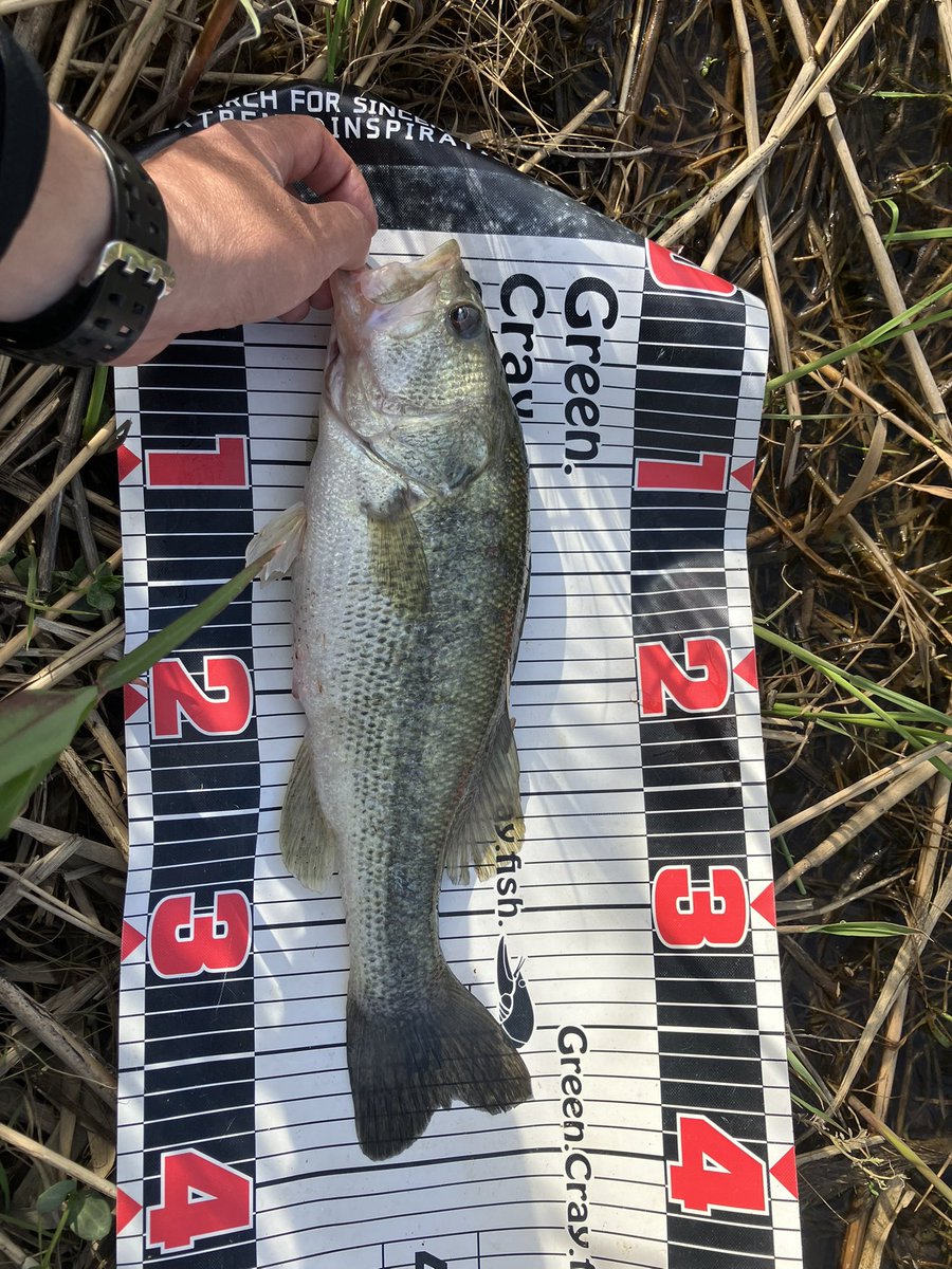 井上充宏 tweet media