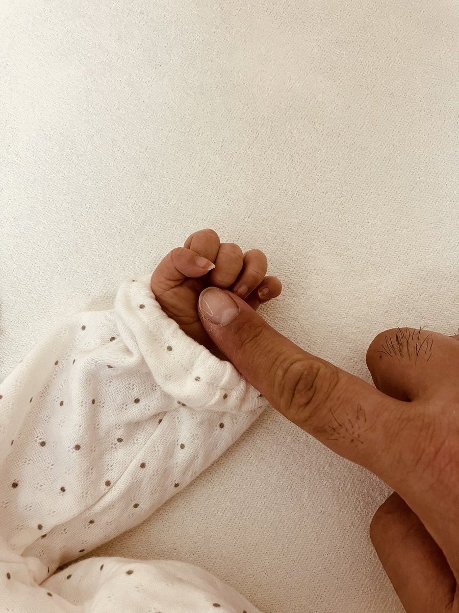 れんじぶた@ tweet media