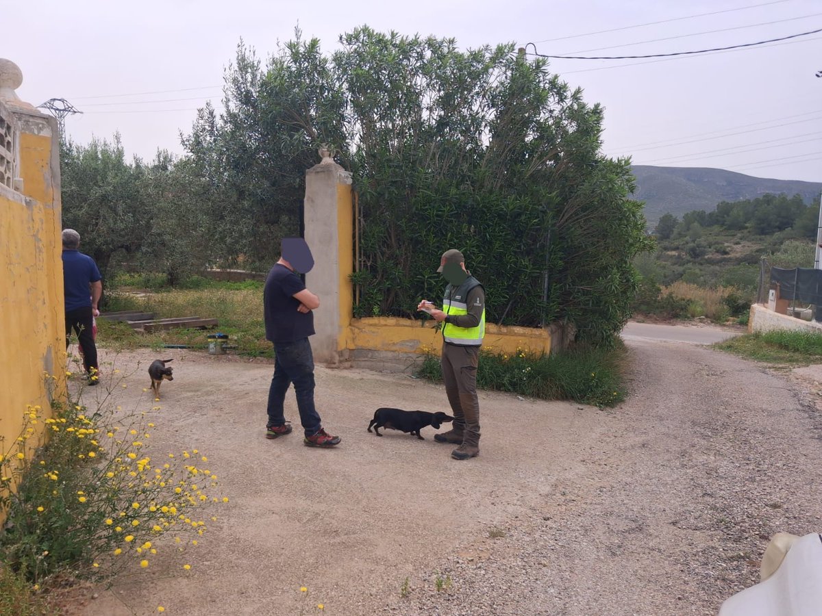 AGENTES APAMCV tweet media