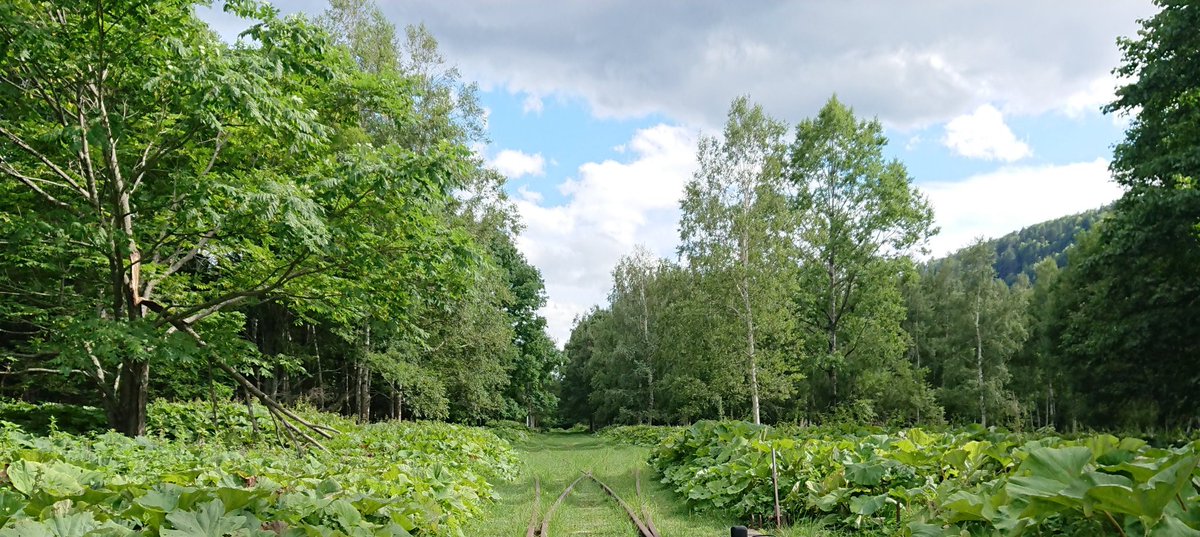 旧幌加駅　再訪！
前に自転車旅したのはもう6年前らしい……時の流れは早い……