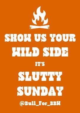 BullforBBW tweet media