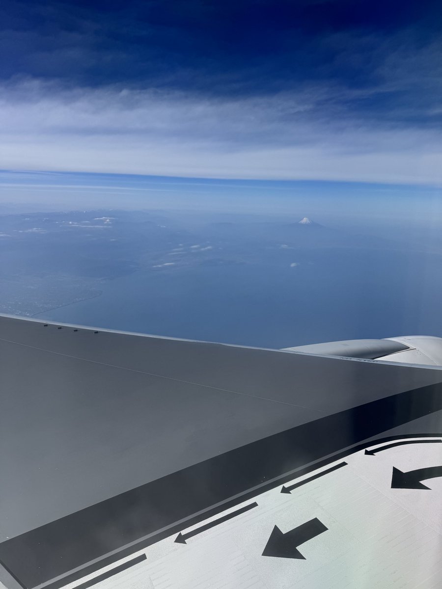 葉月まゆ tweet media