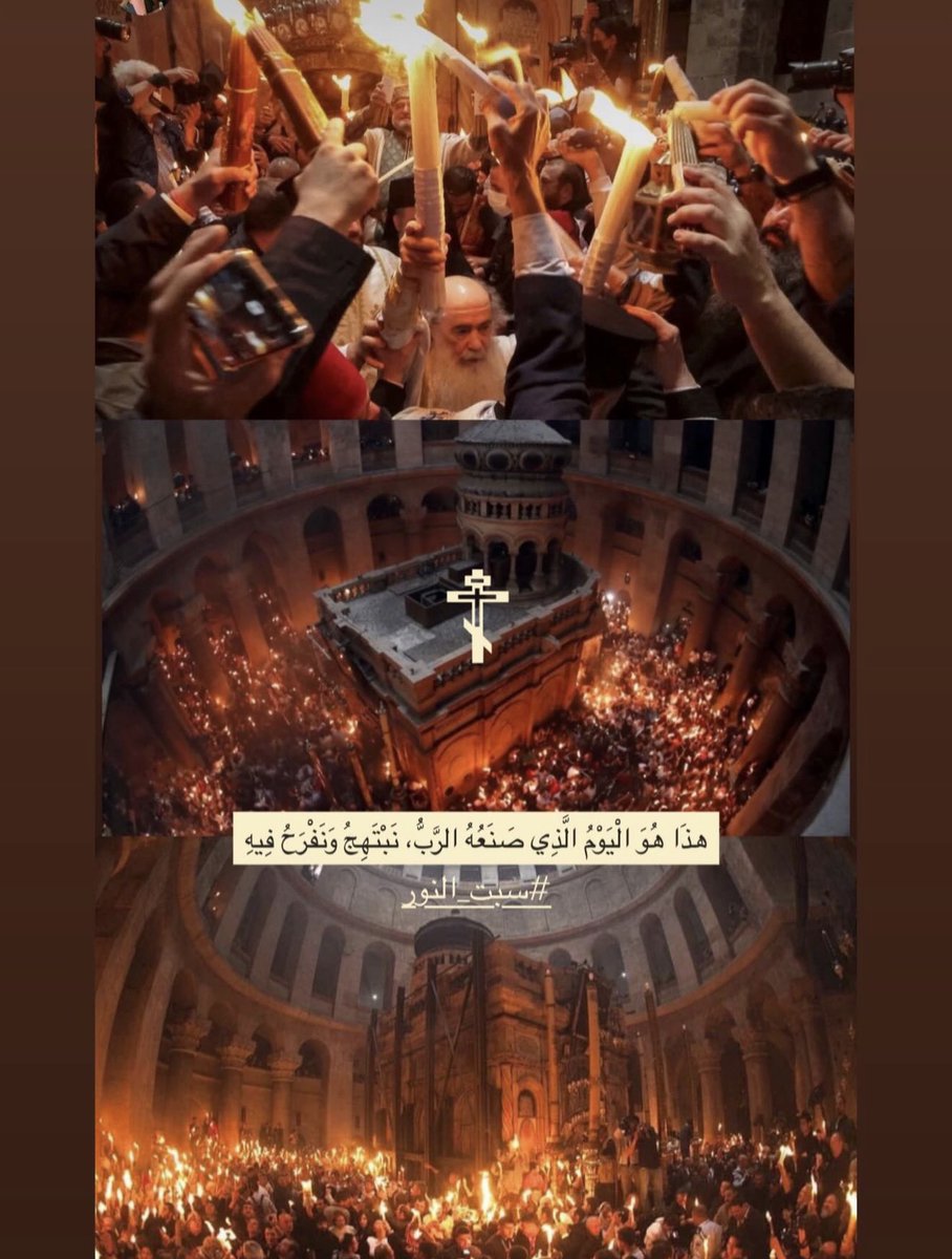 Roula Chamieh tweet media