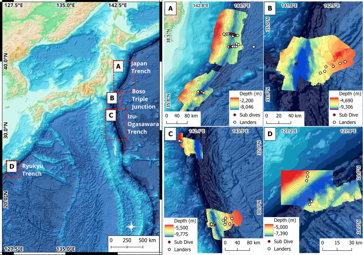 Earth.com tweet media
