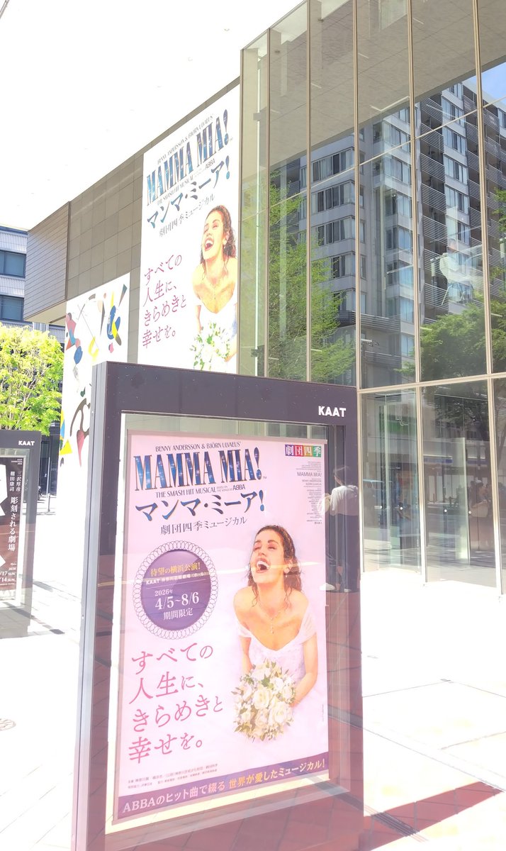 せらしーん🐰 tweet media