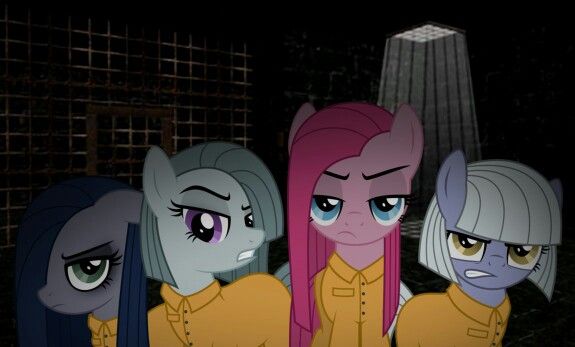 Sylvester Gnomicki tweet media