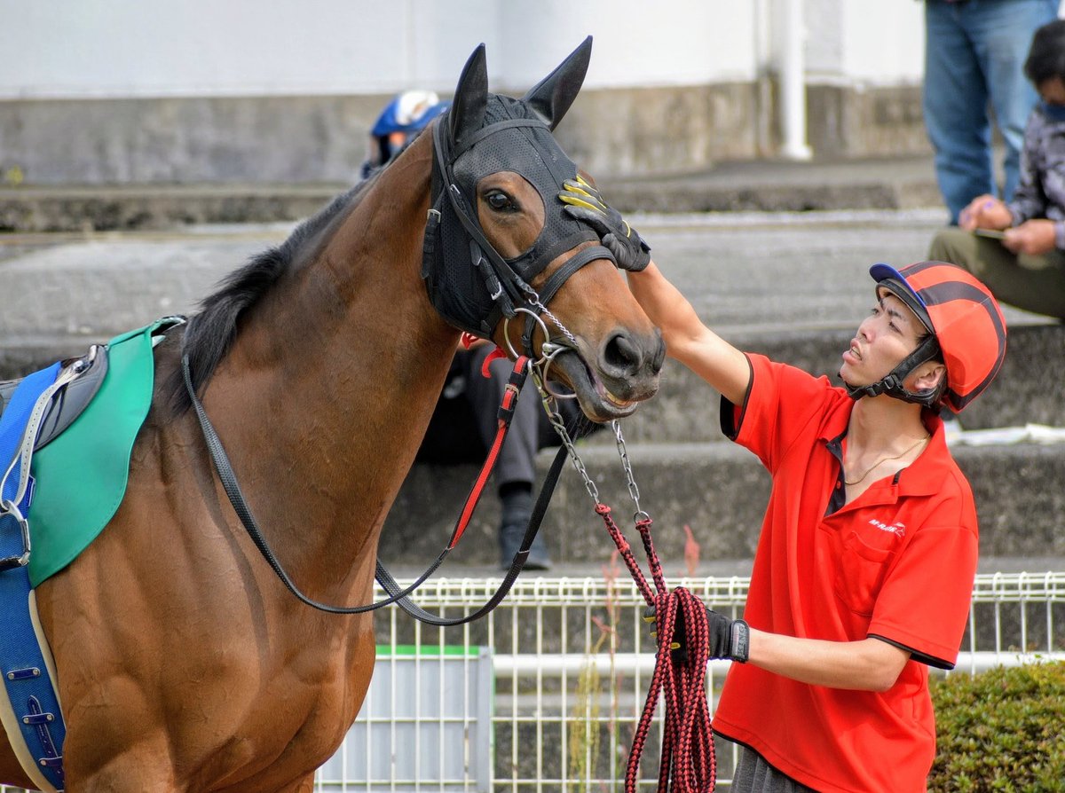 キリン tweet media