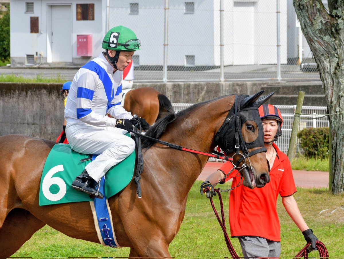 キリン tweet media