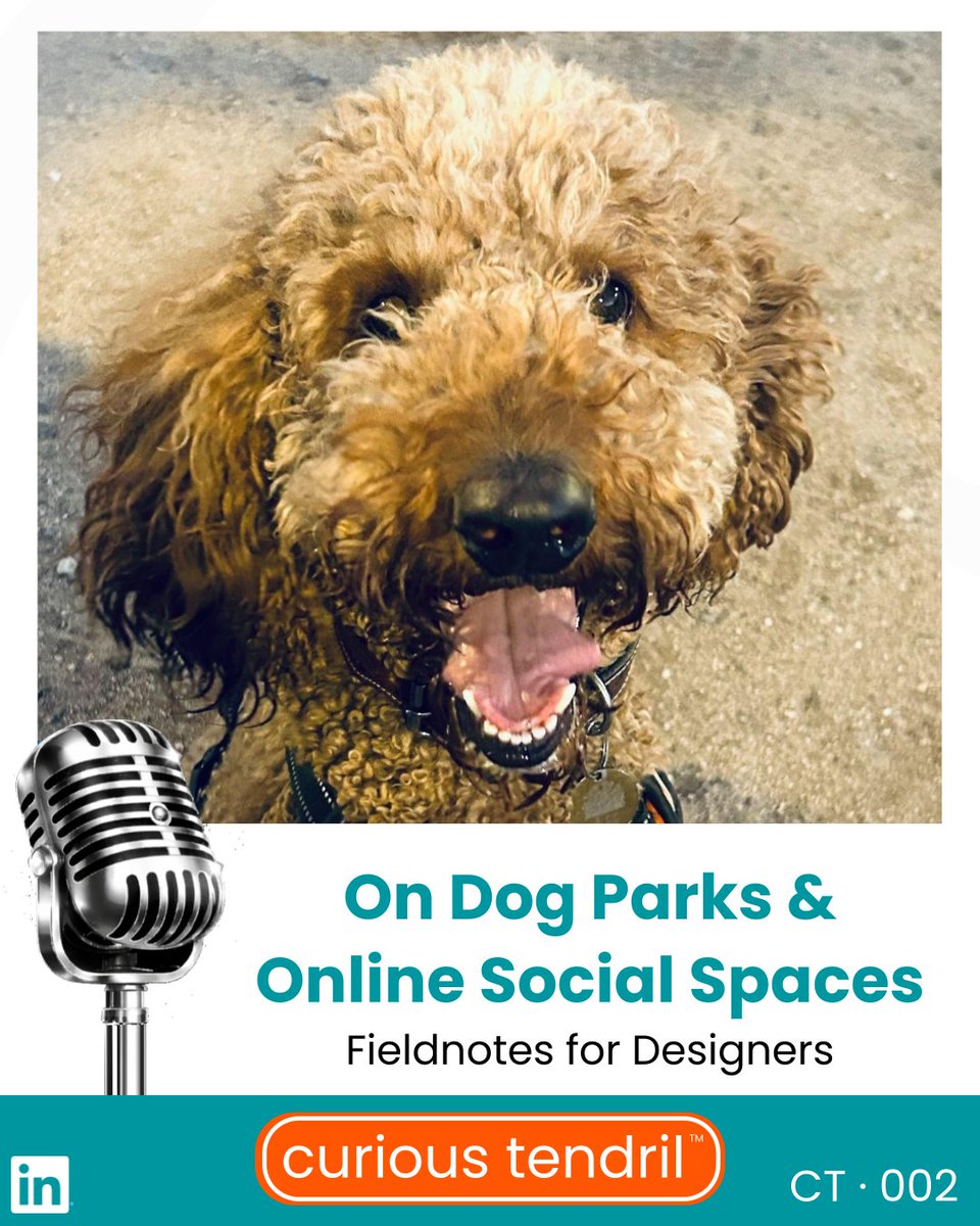 CuriousTendril's tweet image. Some students want community. Others want a quiet corner. How do we address the disparate social learning needs of online learners?

In this fieldnote for #designers, I visit the dog park as an analogous lens, and offer a #PX lens that goes beyond UX. 

A 16-min read (or audio)